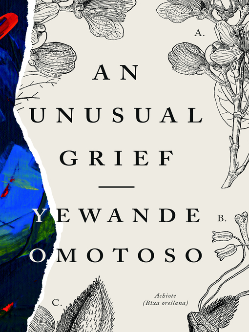 Title details for An Unusual Grief by Yewande Omotoso - Available